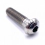 Vis à Tête Bombée Plate en Inox A4 M10 x (1.25mm) x 85mm - DIN 7380