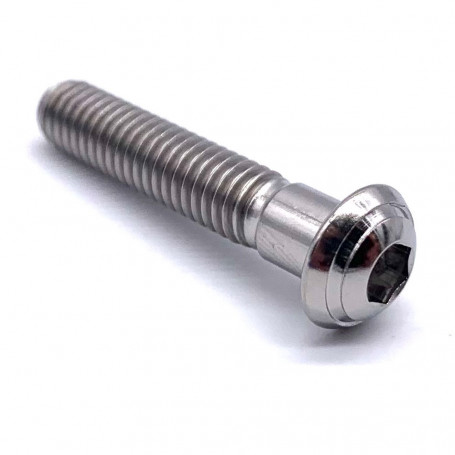 Titanium Button Head  Bolt M6 x (1.00mm) x 30mm - DIN 7380