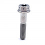 Titanium DualDrive 2 Torx Bolt M6 x (1.00mm) x 30mm