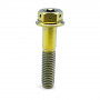 Titanium DualDrive 2 Torx Bolt M6 x (1.00mm) x 30mm