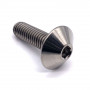 Titanium Dome Head Bolt M5 x (0.80mm) x 16mm