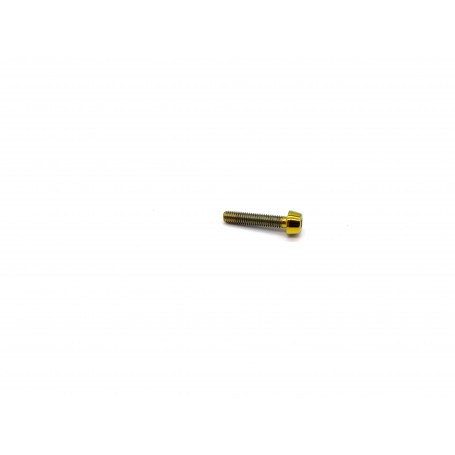 Titanium Socket Cap Bolt M3 x (0.50mm) x 15mm