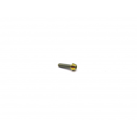 Titanium Socket Cap Bolt M4 x (0.70mm) x 15mm