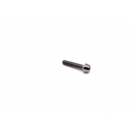 Titanium Socket Cap Bolt M4 x (0.70mm) x 20mm