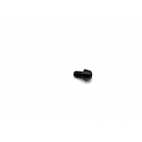 Titanium Socket Cap Bolt M5 x (0.80mm) x 8mm