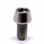 Titanium Socket Cap Bolt M5 x (0.80mm) x 10mm