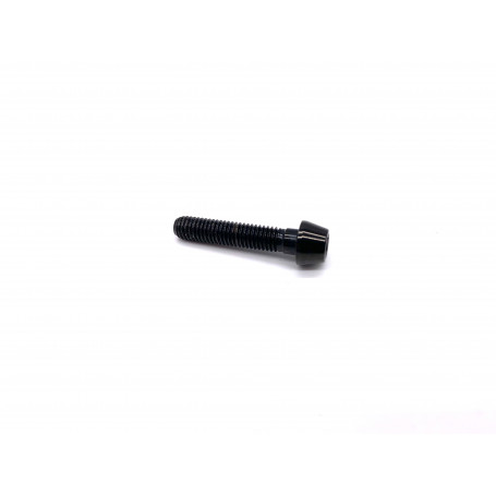 Titanium Socket Cap Bolt M5 x (0.80mm) x 25mm