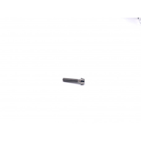 Titanium Socket Cap Bolt M5 x (0.80mm) x 25mm