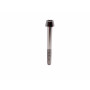 Titanium Socket Cap Bolt M5 x (0.80mm) x 45mm