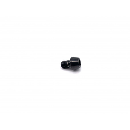 Titanium Socket Cap Bolt M6 x (1.00mm) x 8mm