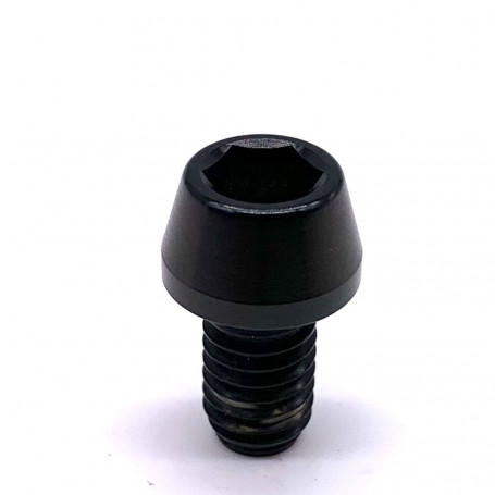 Titanium Socket Cap Bolt M6 x (1.00mm) x 10mm
