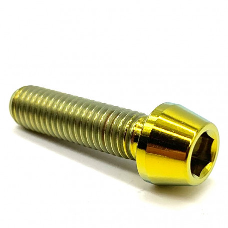 Titanium Socket Cap Bolt M8 x (1.25mm) x 30mm