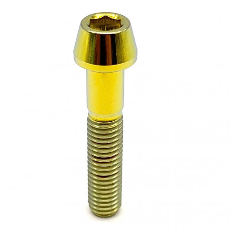 Titanium Socket Cap Bolt M8 x (1.25mm) x 40mm