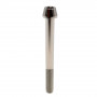 Titanium Socket Cap Bolt M8 x (1.25mm) x 80mm