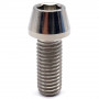 Titanium Socket Cap Bolt M10 x (1.50mm) x 25mm