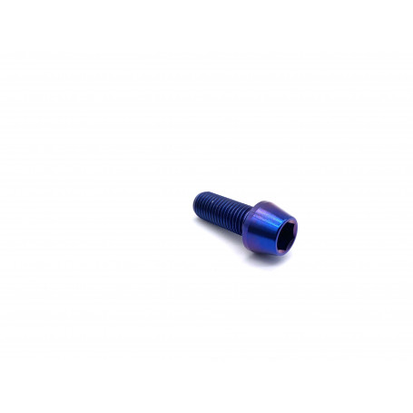 Titanium Socket Cap Bolt M10 x (1.25mm) x 25mm