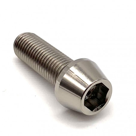 Titanium Socket Cap Bolt M10 x (1.25mm) x 30mm