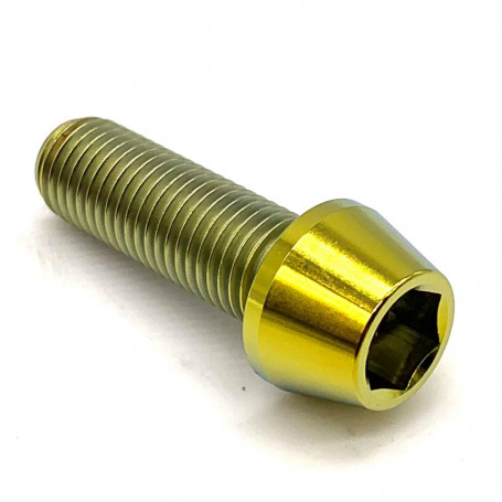 Titanium Socket Cap Bolt M10 x (1.25mm) x 30mm