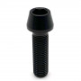 Titanium Socket Cap Bolt M10 x (1.25mm) x 35mm