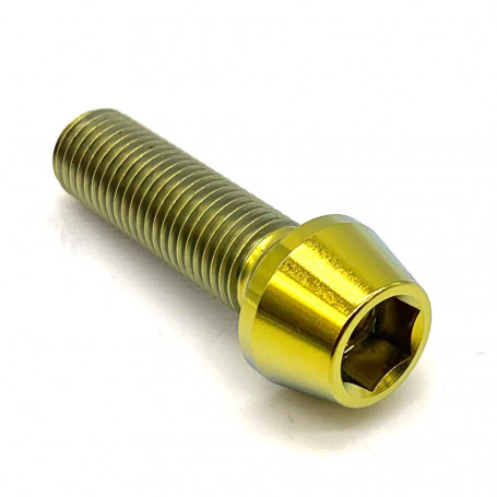 Titanium Socket Cap Bolt M10 x (1.25mm) x 35mm