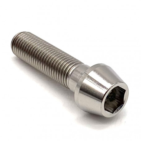 Titanium Socket Cap Bolt M10 x (1.25mm) x 40mm