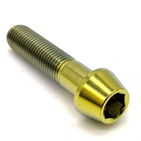 Titanium Socket Cap Bolt M10 x (1.25mm) x 45mm