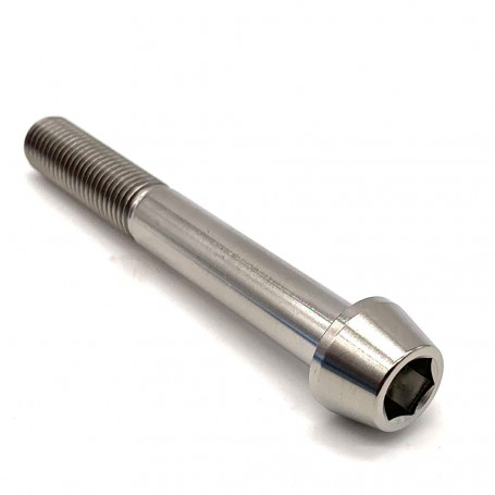 Titanium Socket Cap Bolt M10 x (1.25mm) x 75mm