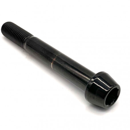 Titanium Socket Cap Bolt M10 x (1.25mm) x 75mm