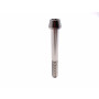 Titanium Socket Cap Bolt M10 x (1.25mm) x 80mm