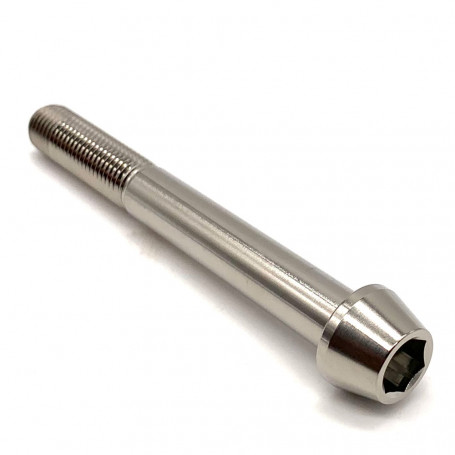 Titanium Socket Cap Bolt M10 x (1.25mm) x 85mm