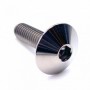 Vis à Tête Bombée en Titane M6 x (1.00mm) x 16mm (Diamètre de tête 12mm)